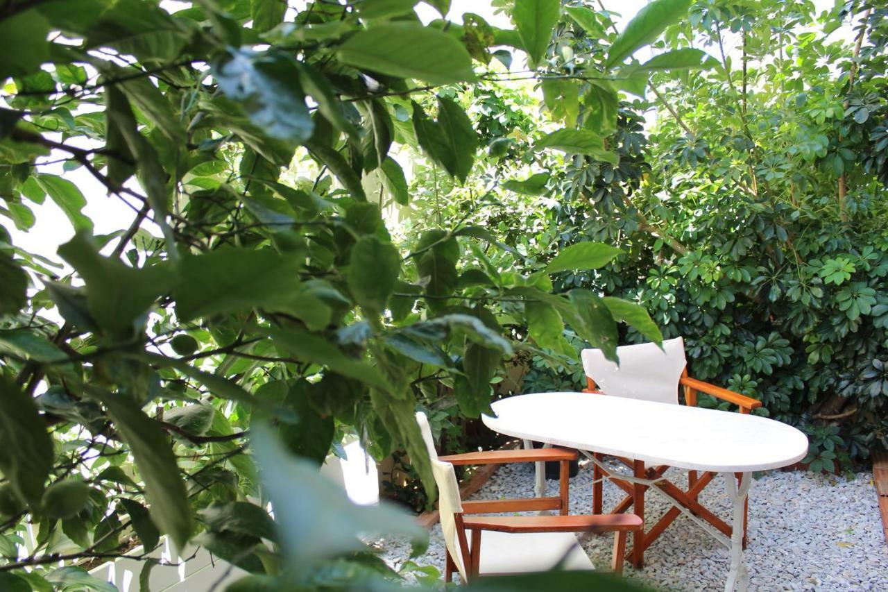 Antelia Homes Skiatos Zewnętrze zdjęcie